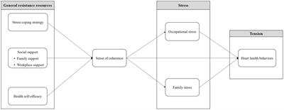 Sense of coherence promotion and occupational and family stress mitigation may improve heart health behaviors in middle-aged working women: a structural equation modelling approach